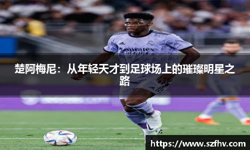 leyu.乐鱼在线登录